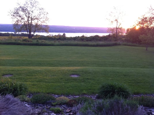 Dano's Heuriger on Seneca by null