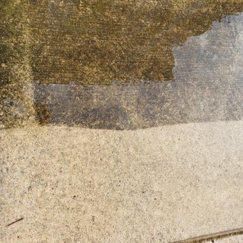 Rick's Window Cleaning - 5+ years of dirt and grime to looking new - Gutter Services Near Me Rick's Window Cleaning - 5+ years of dirt and grime to looking new - Gutter Services Near Me
