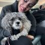 Ariel's Dog Palace