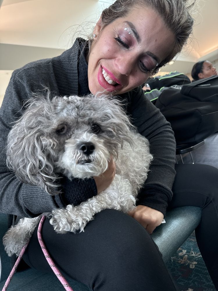 Ariel's Dog Palace - pet boarding facility in Las Vegas, NV