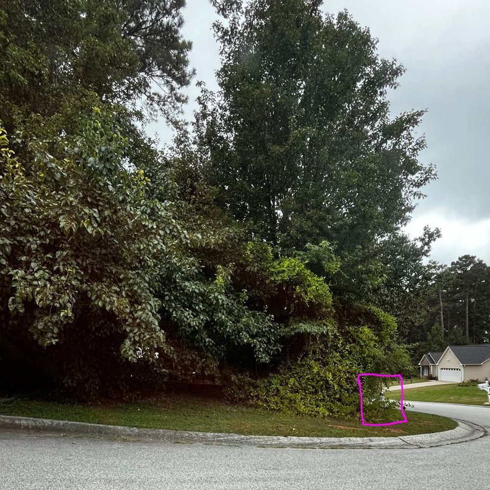 AMH - Overgrowth blocks view of oncoming traffic & fire hydrant - Property Management Near Me - Norcross, Georgia