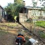 Photo of Del Cid Tree Service