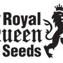 Photo of Cannabis Seeds - London, XGL, GB.