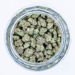 Theory Wellness - South Portland - Monkey Mints