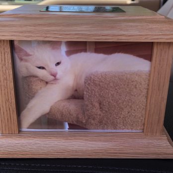 Animal Memorial Service - Angel Love Rose Prettiest white kitty in the whole wide world with the beautiful blue eyes. - Pet Cremation Services Near Me - Gilroy, California Animal Memorial Service - Angel Love Rose Prettiest white kitty in the whole wide world with the beautiful blue eyes. - Pet Cremation Services Near Me - Gilroy, California