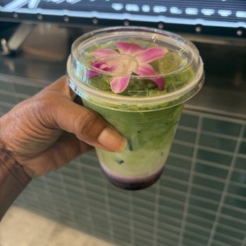 Deeply Coffee - Blueberry Matcha - Coffee & Tea Near Me - Winter Garden, Florida Deeply Coffee - Blueberry Matcha - Coffee & Tea Near Me - Winter Garden, Florida