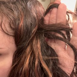 Elle Marie Hair Studio - Mill Creek - You can see red at the top and then the copper color underneath