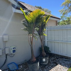 Royal Landscape Nursery