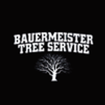 Bauermeister Tree - Tree Services Near Me - Fort Wayne, Indiana Bauermeister Tree - Tree Services Near Me - Fort Wayne, Indiana