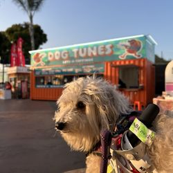 The Pacific Amphitheatre - Cool Signage !