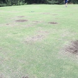 Preactice green at Walpole Country Club