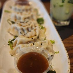 The Tap Room At The Hollander - Pork Potstickers