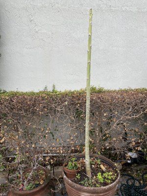 City Roofing and Construction