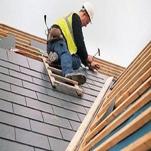 Danville Roofing Pros Logo