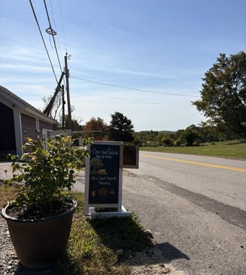 Benedikt Dairy by null