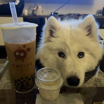 7 Miles Tea Lab - BLACK MILK TEA brown sugar - Coffee & Tea Near Me - Los Angeles, California 7 Miles Tea Lab - BLACK MILK TEA brown sugar - Coffee & Tea Near Me - Los Angeles, California