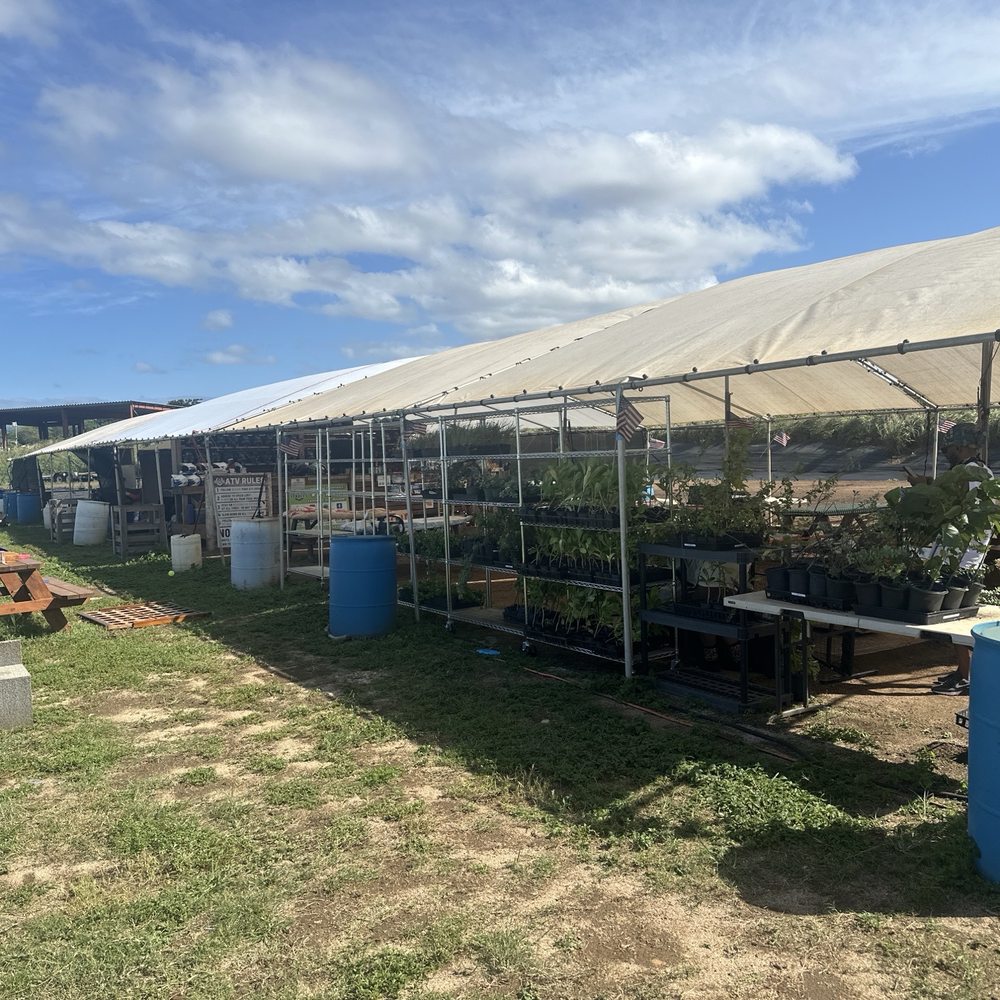 North Shore Stables - Check in area - ATV Rentals/Tours Near Me - Waialua, Hawaii North Shore Stables - Check in area - ATV Rentals/Tours Near Me - Waialua, Hawaii