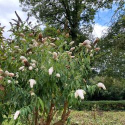 Botanischer Garten