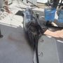 Photo of Kai Bear Sportfishing