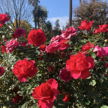 Capitol Park - Parks Near Me - Sacramento, California Capitol Park - Parks Near Me - Sacramento, California