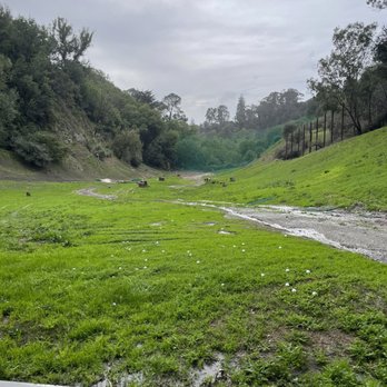 MONTCLAIR GOLF COURSE Updated October 2024 110 Photos 216 Reviews