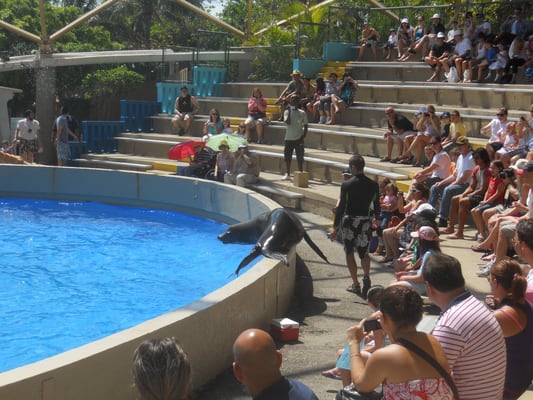 Miami Seaquarium by null