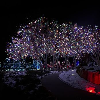 Blossoms of Light - Botanical Gardens Near Me - Denver, Colorado