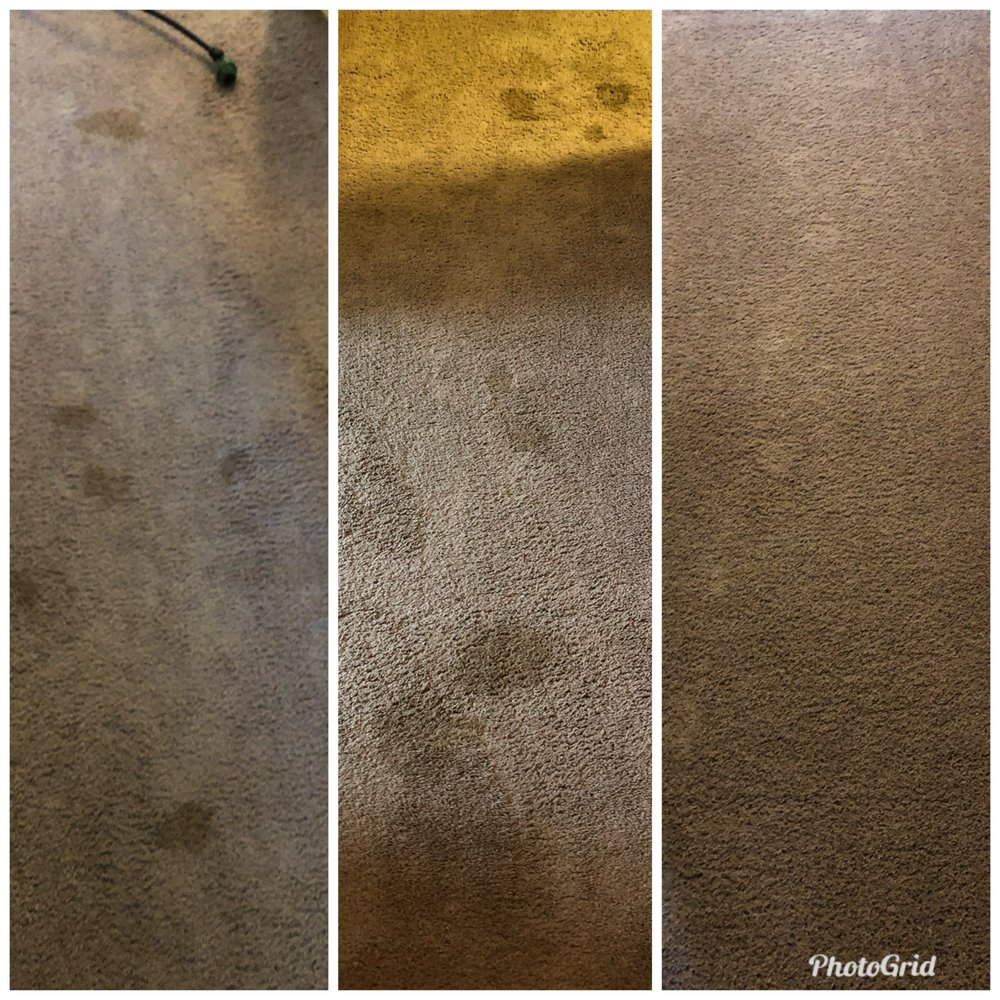 GARRISON’S QUALITY CARPET CARE Updated July 2024 Visalia