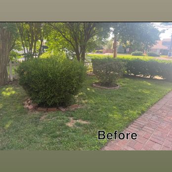 BJ Landscape - Tree Services Near Me - Woodford, Virginia BJ Landscape - Tree Services Near Me - Woodford, Virginia