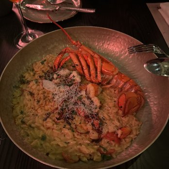 Violí Oakbrook - Lobster risotto- excellent - Greek Near Me - Oak Brook, Illinois Violí Oakbrook - Lobster risotto- excellent - Greek Near Me - Oak Brook, Illinois