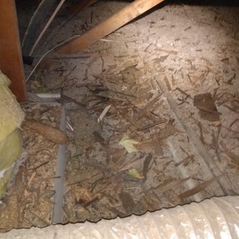 911 Attic Insulation - Before cleaning - Insulation Installation Near Me 911 Attic Insulation - Before cleaning - Insulation Installation Near Me