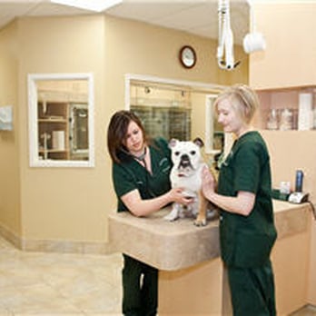 Westbridge Veterinary Hospital - Veterinarians Near Me - Mississauga, Ontario Westbridge Veterinary Hospital - Veterinarians Near Me - Mississauga, Ontario