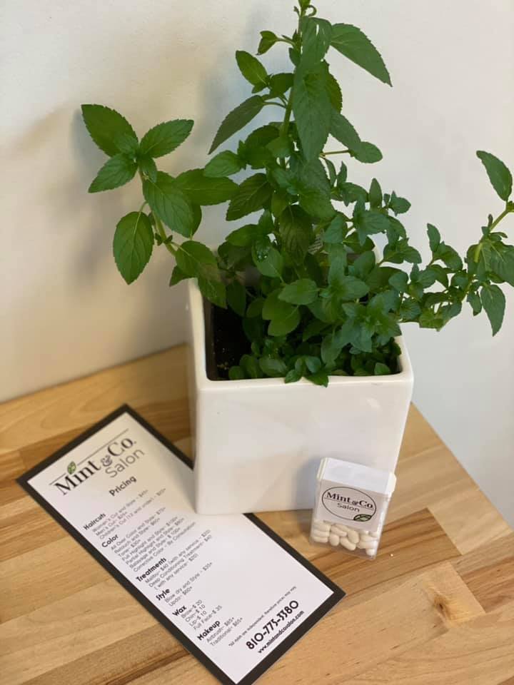 Mint & Co Salon Logo