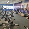 Top Fitness Store gift card