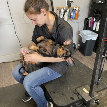 Traci’s Pet Stop - Pet Groomers Near Me - Longview, Washington Traci’s Pet Stop - Pet Groomers Near Me - Longview, Washington