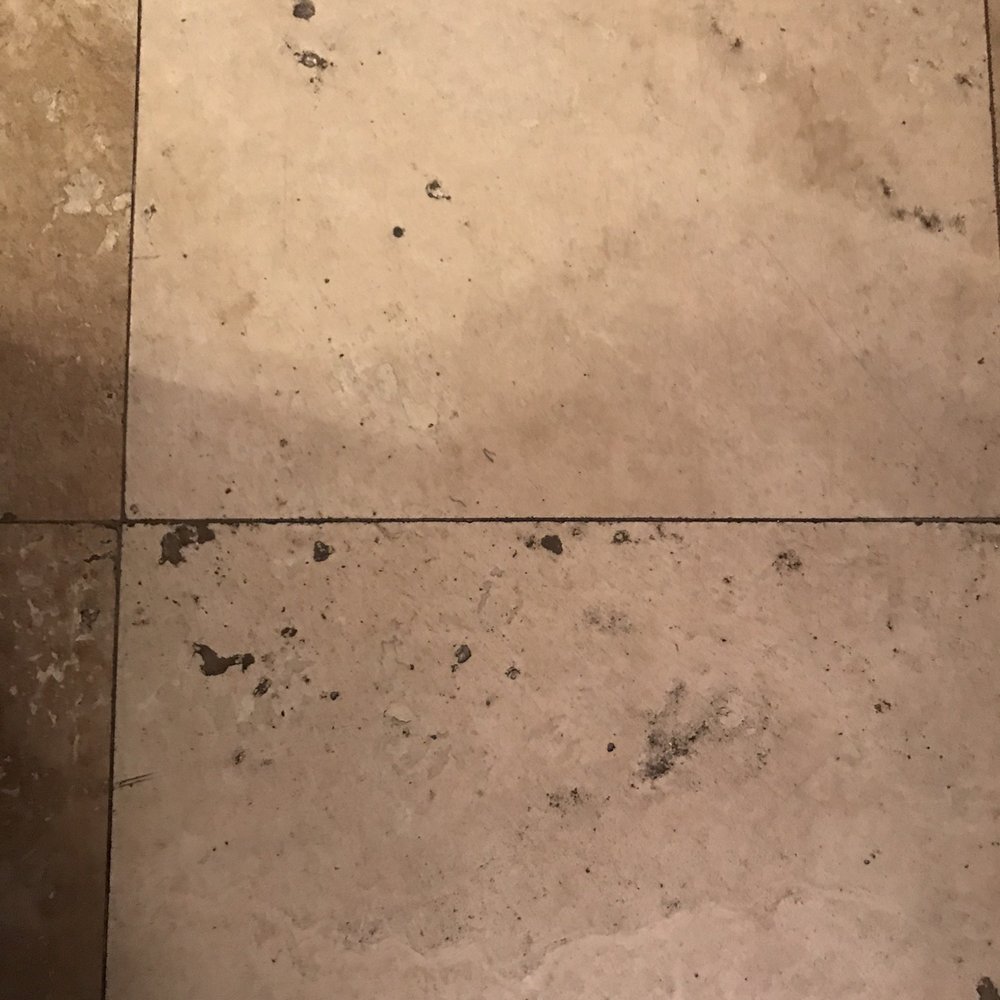 Holiday Hotel & Resort - Floor dirt ground in - Hotels Near Me - Holiday, Florida Holiday Hotel & Resort - Floor dirt ground in - Hotels Near Me - Holiday, Florida