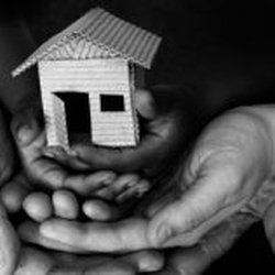 The Advocate Program