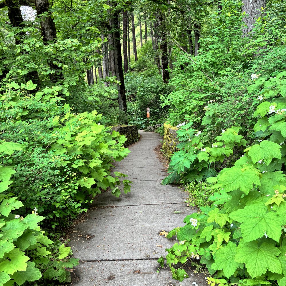 Wahkeena Falls - wheelchair ramp - Parks Near Me - Troutdale, Oregon Wahkeena Falls - wheelchair ramp - Parks Near Me - Troutdale, Oregon