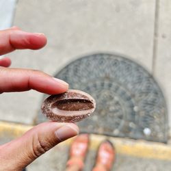 J Evelyn Confections - A sample of their milk chocolate