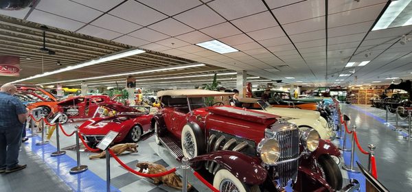 Tallahassee Automobile Museum by null