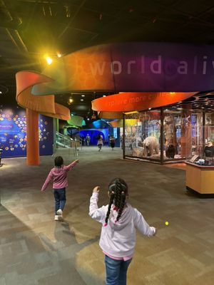Discovery Place Science by null