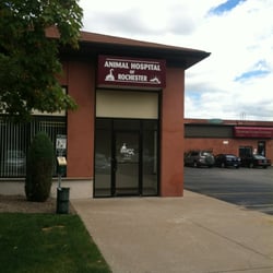 Animal Hospital of Rochester
