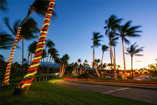 Hilton Waikoloa Village by null