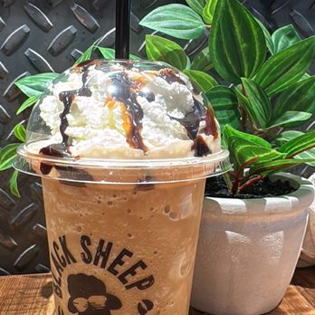 Black Sheep Coffee - Carmel mocha frappe - Desserts Near Me - Dallas, Texas Black Sheep Coffee - Carmel mocha frappe - Desserts Near Me - Dallas, Texas