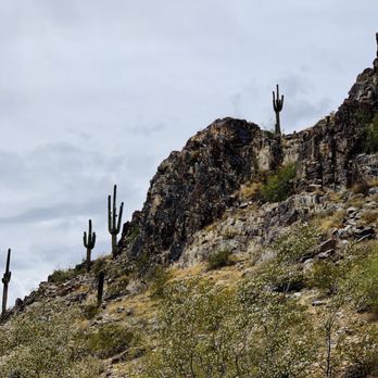 Piestewa Peak - Beautiful day for a Hike - Parks Near Me - Phoenix, Arizona Piestewa Peak - Beautiful day for a Hike - Parks Near Me - Phoenix, Arizona