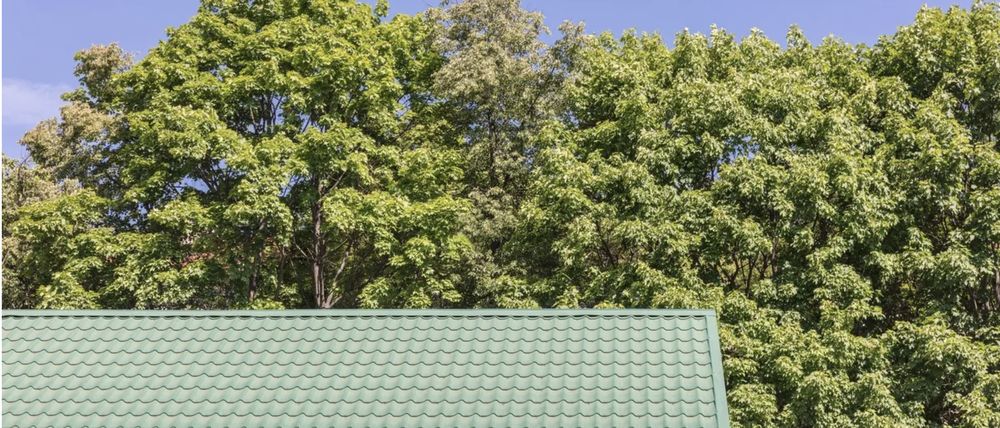 Slide of Rhino Roofing