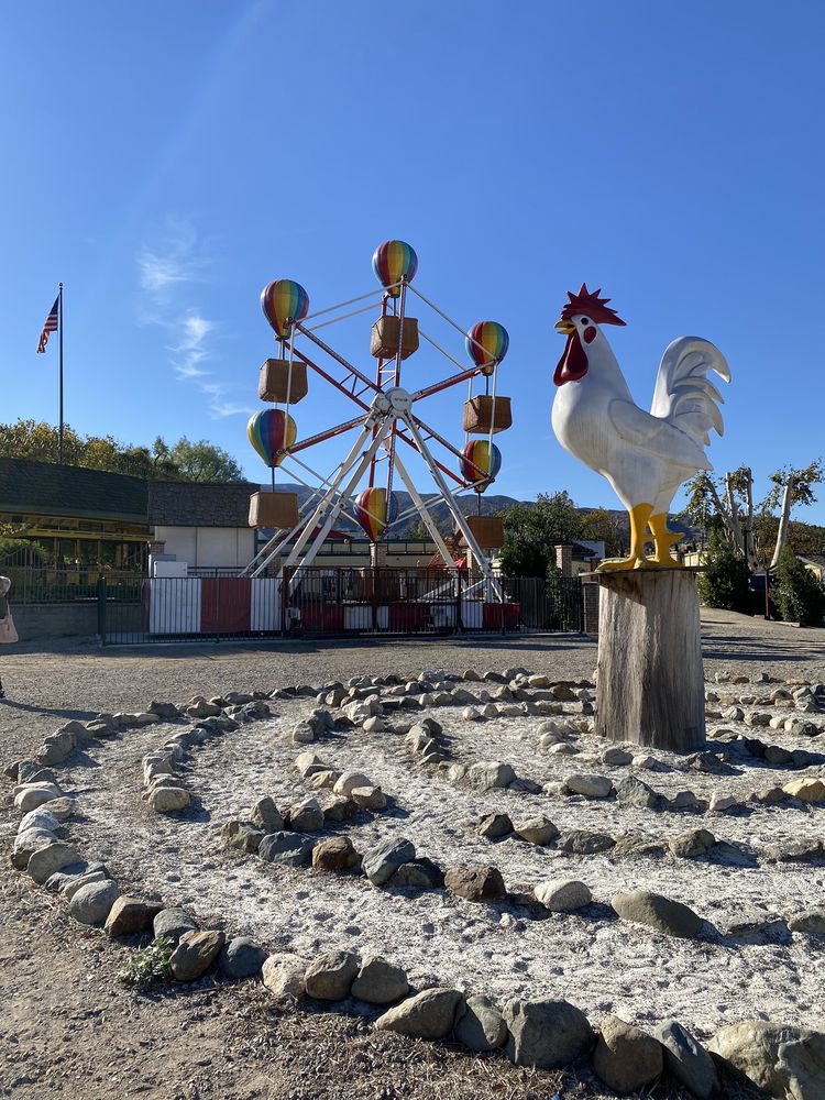 TOM’S FARMS Updated April 2024 91 Photos & 47 Reviews 23900