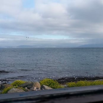 O'Grady's on the Pier - View from our table. - Seafood Near Me - Galway, G
