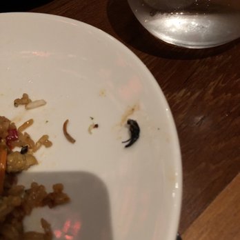 Komodo Miami - It's not a beef jerky!!! - Asian Fusion Near Me - Miami, Florida