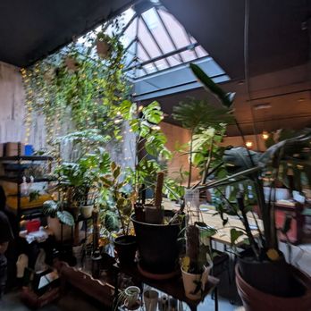 Antidote - Cocktail Bars Near Me - Brooklyn, New York
